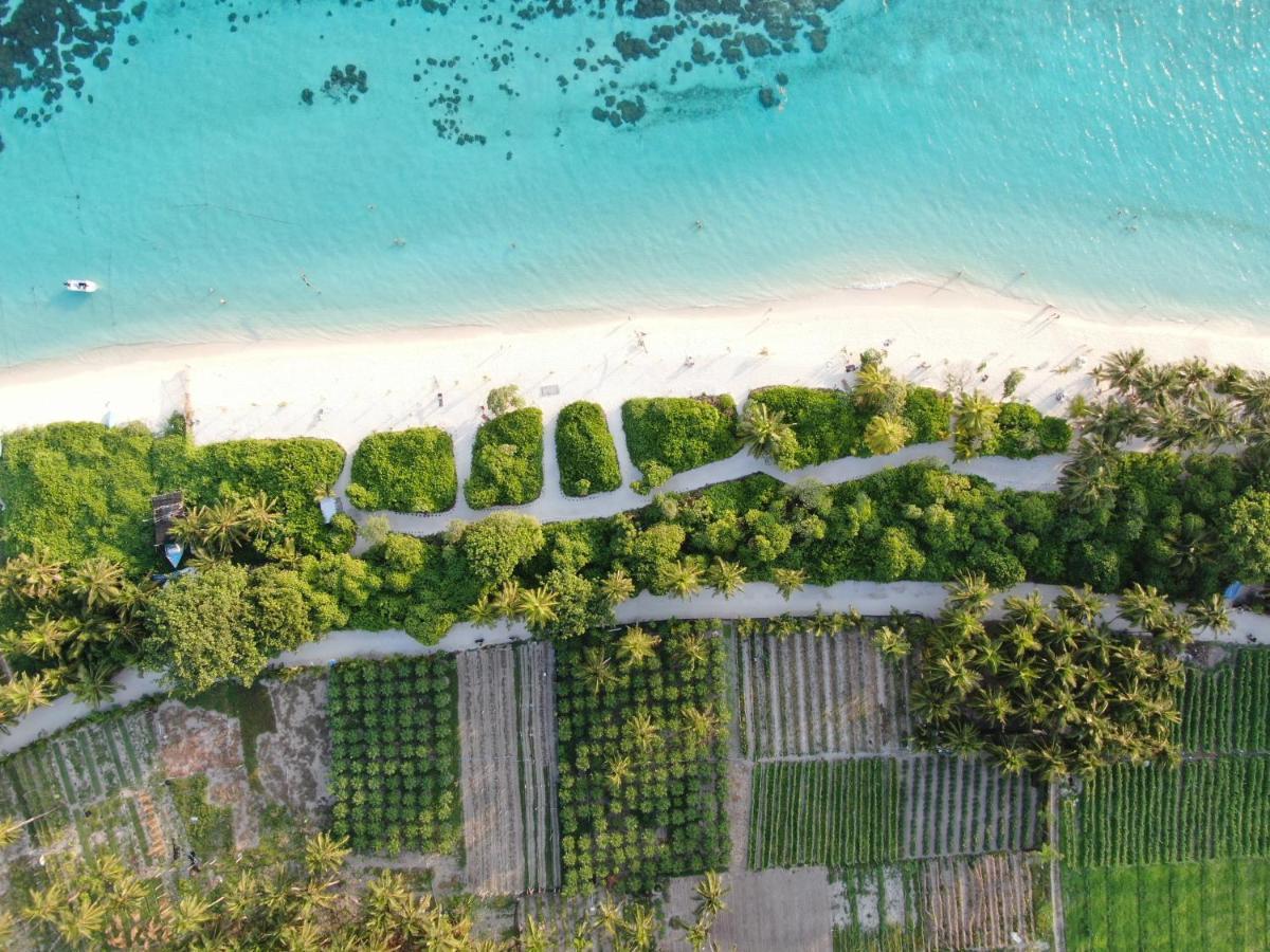 Thoddoo Island Life Hotel Kültér fotó